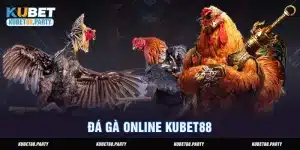 Những điều bạn cần biết về hình thức đá gà Online Kubet88